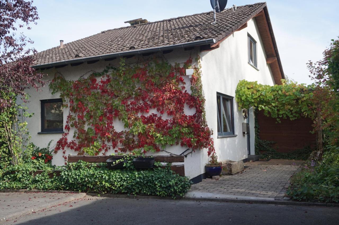 Haus Eifeldolomiten - Ankommen Und Wohlfuehlen Gerolstein Kültér fotó